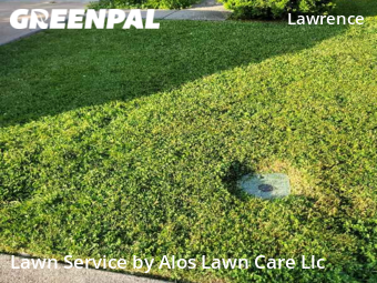 Yard Cutting nearby Indianapolis, IN, 