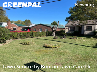 Grass Cut nearby Louisville, KY, 