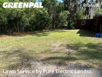 Lawn Cut nearby Jacksonville, FL, 