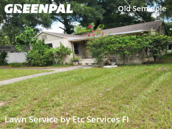 Lawn Mowing nearby Tampa, FL, 