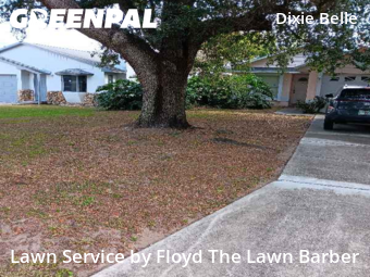 Grass Cutting nearby Orlando, FL, 