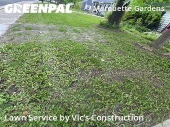 Lawn Cut nearby Joliet, IL, 