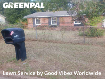 Yard Cutting in Albany, 31701, Weed Trimming by Good Vibes Worldwide, work completed in Nov , 2025