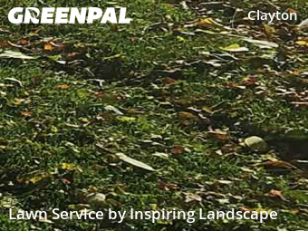 Lawn Cutin Denver,80205,Lawn Cutting by Inspiring Landscape, work completed in Nov , 2025