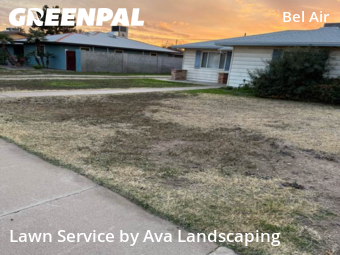 Landscaping Maintenance In Phoenix,85015,Landscaping Cleanup by Ava Landscaping, work completed in Feb , 2026