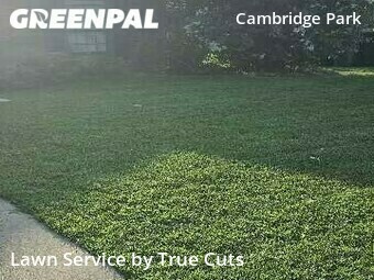 Lawn Mowing nearby Oklahoma City, OK, 