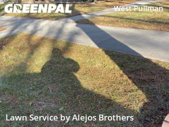 Lawn Mow nearby Chicago, IL, 