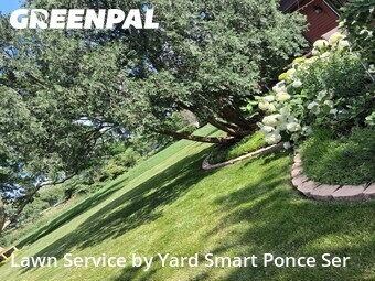 Lawn Cutting nearby Lisle, IL, 