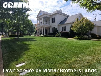 Grass Cut nearby Holly Springs, NC, 