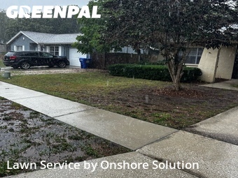 Lawn Cutting nearby Palm Harbor, FL, 