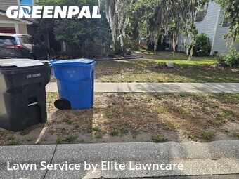Lawn Cut nearby Tampa, FL, 