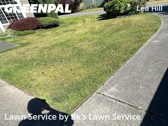 Lawn Cut nearby Auburn, WA, 
