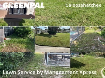Lawn Care nearby Cape Coral, FL, 