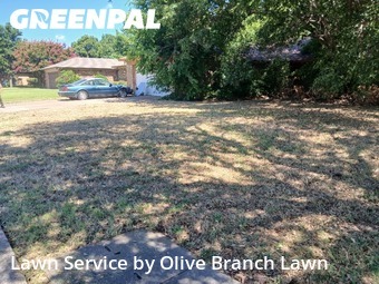 Lawn Care Servicein Keller,76248,Lawn Care Service by Olive Branch Lawn, work completed in Dec , 2025