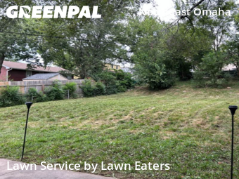 Grass Cut nearby Omaha, NE, 