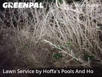 Grass Cutting nearby New Port Richey, FL, 