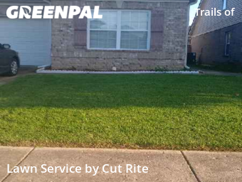 Lawn Service nearby Arlington, AR, 