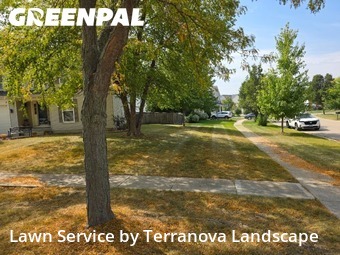 Turf Services in Carpentersville, 60110, Lawn Cutting by Terranova Landscape, work completed in Dec , 2025