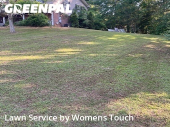 Lawn Care nearby Northport, AL, 
