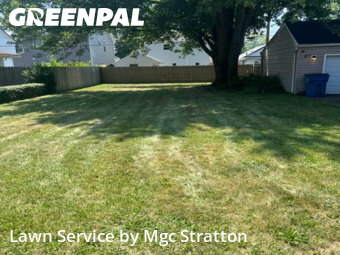 Backyard Mowing in Eastlake, 44095, Weekly Mowing by Mgc Stratton, work completed in Nov , 2025