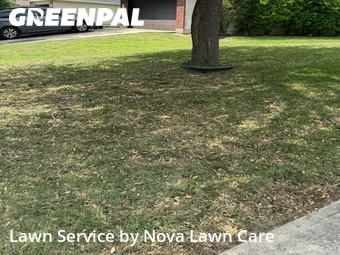Lawn Care nearby Hutto, TX, 