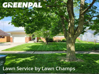 Yard Cutting nearby Maumee, OH, 