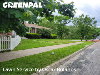 Yard Mowing nearby Endicott, NY, 