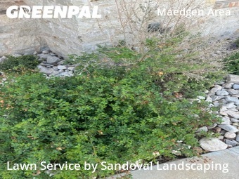 Lawn Care Service nearby Lubbock, TX, 