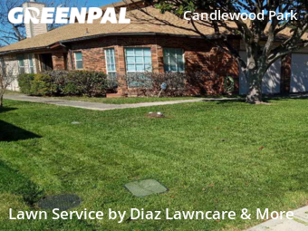 Lawn Service nearby San Antonio, TX, 