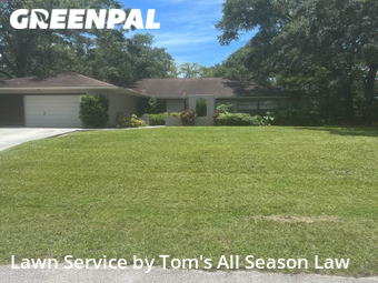 Lawn Mow nearby Spring Hill, FL, 