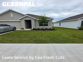 Yard Cutting nearby Belleview, FL, 