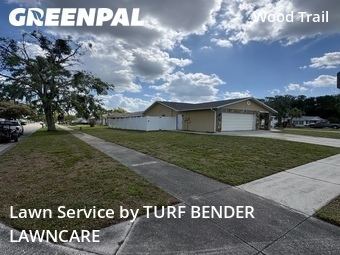 Yard Mowing nearby New Port Richey, FL, 