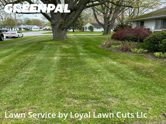 Yard Cutting nearby Sandusky, OH, 