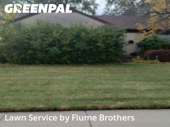 Lawn Mow nearby Roseville, MI, 