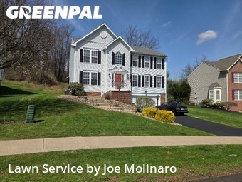 Lawn Cut nearby Moon Township, PA, 