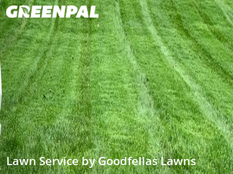 Yard Cutting nearby Bellevue, NE, 