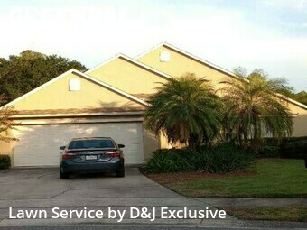 Grass Cut nearby Orlando, FL, 