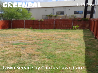 Lawn Cutting nearby San Antonio, TX, 