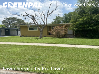 Lawn Mowing nearby Orlando, FL, 