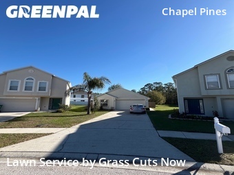 Lawn Service nearby Wesley Chapel, FL, 