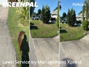Lawn Cut nearby Cape Coral, FL, 