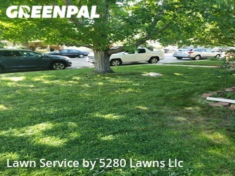 Yard Mowing nearby Longmont, CO, 