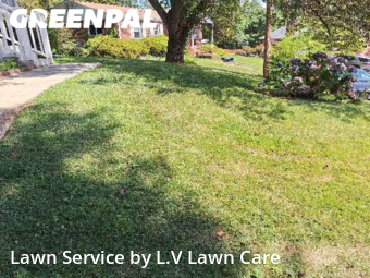Lawn Care Service nearby Fairfax , VA, 