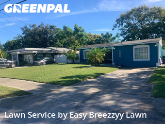 Grass Cut nearby Azalea Park, FL, 