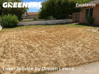 Grass Cutting in Tempe, 85281, Lawn Services by Dream Lawns, work completed in Oct , 2025