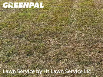 Grass Cutin Lawrenceville,30043,Lawn Mowing by Ht Lawn Service Llc, work completed in Nov , 2025