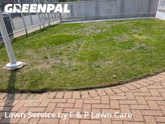 Lawn Care Service nearby Chicago, IL, 