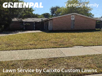 Landscaping Cleanup In Irving,75062,Landscaping Installation by Calixto Custom Lawns, work completed in Oct , 2025