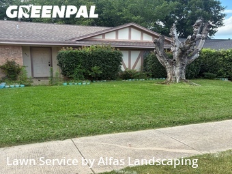 Landscaper In Lewisville,75067,Landscaping Maintenance by Alfas Landscaping, work completed in Jun , 2026