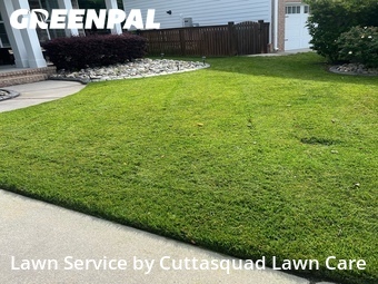 Grass Cutting nearby Virginia Beach, VA, 